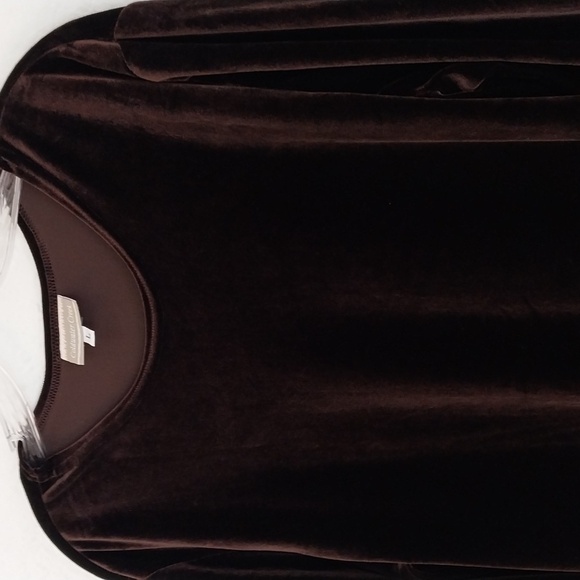 COLDWATER CREEK Brown Velvet Tunic Crew Neck Long Sleeve Top Size Large - Picture 10 of 16